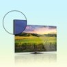 Thomson Thomson 55QG5C14 Smart TV QLED 55 Pollici 4K